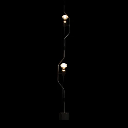 Светильник подвесной Parentesi 10346-2 Black LOFT IT без плафона 2 лампы, основание чёрное в стиле модерн на растяжку фото 4